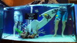Tanked: Reveal: Skateboard Tank