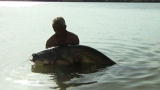 River Monsters: Wels Catfish Attacks