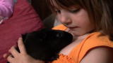 Pets 101: Guinea Pig