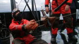 Whale Wars: A Slingshot Attack