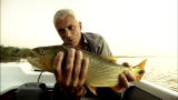 River Monsters: Catching a Dorado