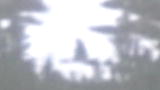 Finding Bigfoot: Earliest Evidence?