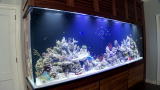 Tanked: Favorite Tanks