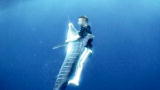 Madman of the Sea: Series Preview