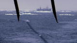 Whale Wars: Dropping the Stern Line