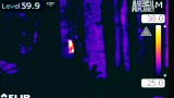 Finding Bigfoot: A Howl In the Woods