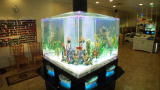 Tanked: Latest Clips!