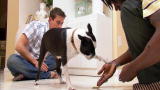 SuperFetch: Doggie Personal Trainer (Full Episode)