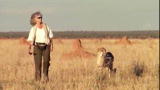 Mutual of Omaha's Wild Kingdom :The Cheetah Lady