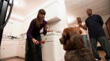 It's Me or the Dog: Sit, Wait, Wait, Wait, Okay