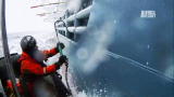 Whale Wars: Meet Chadwick Halstead