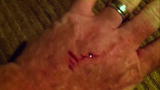 My Cat from Hell: Family Fears for Baby's Safety