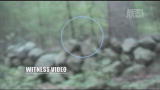 Finding Bigfoot: Bigfoot Spotted in Rhode Island?