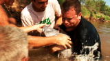 Hillbilly Handfishin': Full Court Catfish Press