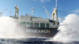 Whale Wars: Paintballing a Whaling Ship