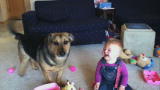 Puppies vs. Babies: The Ultimate Cute Showdown