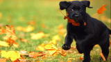 Too Cute: Hello World!