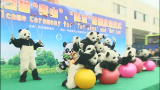 Wild Kingdom Highlights