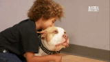Pit Boss: Meet Hercules