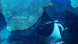 Mutual of Omaha's Wild Kingdom: Manta Ray Secrets Revealed
