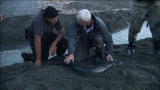 River Monsters: The Longfin Eel Migration