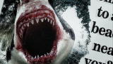 Maneaters: Sharks