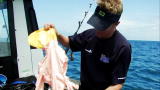 Madman of the Sea: Shark Attacks Blow-Up Doll