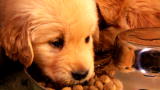 Too Cute: Feeding Time!