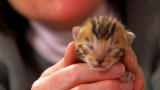 Too Cute: Two Big Birth Days