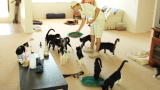 Confessions: Animal Hoarding: Lisa