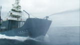 Whale Wars: The Crash That Made Headlines