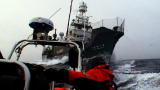 Whale Wars: Getting Back In the Game