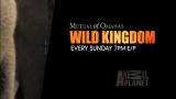 Mutual of Omaha's Wild Kingdom: Season 7