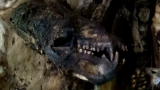 Battleground: Rhino Wars: Illegal Rhino Market