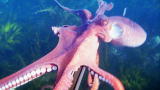 Weird True & Freaky: Octopus Steals Camera