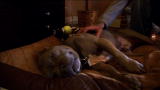 Pit Bulls & Parolees: Creature Gets Adopted!
