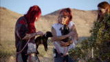 Pit Bulls & Parolees: Rescue in the Desert