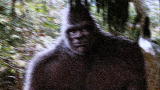 Freak Encounters: Genoskwa