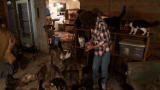 Confessions: Animal Hoarding: A Sweet Grandmother's 130 Cats