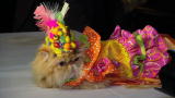 Must Love Cats: A True Catwalk