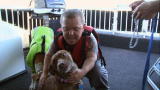 Pit Boss: Pit Bull Trapped on Houseboat