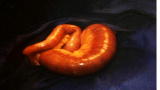 Monsters Inside Me: Threadworm Lives In Bowels