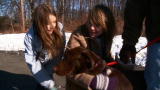 Last Chance Highway: Forever Home: Jack and Daniel
