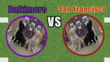 Puppy Bowl IX: Puppies Predict Super Bowl Winner!