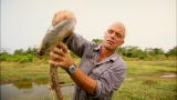 River Monsters: River of Freaky Fish
