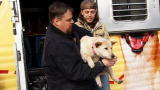 Last Chance Highway: A Home for Anna Belle