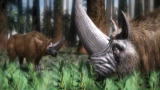 Animal Armageddon: Fire and Ice (Full Episode)