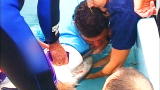 Weird True & Freaky: Pole Stuck in Shark's Throat