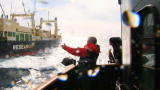 APL Top 25 of All Time: Whale Wars, Boiling Point