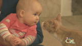 Housecat Housecall: Baby Intro
